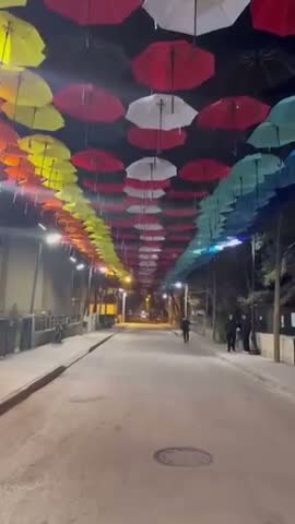 Erzincan İl Halk Kütüphanesi Ş